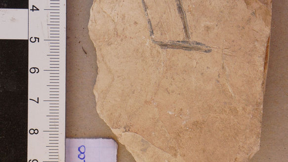 Fig.21. DeM_2020_M25_200.jpg