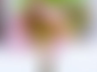 What we learned in Perimenopause in 2024