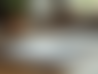 Essential Guidelines for Terms Drafting Essentials