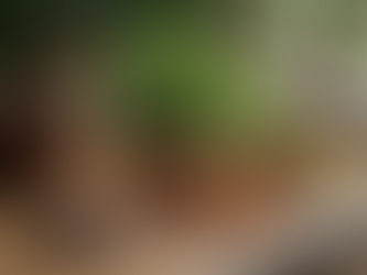 Ancient Healing Practices for Modern Wellness