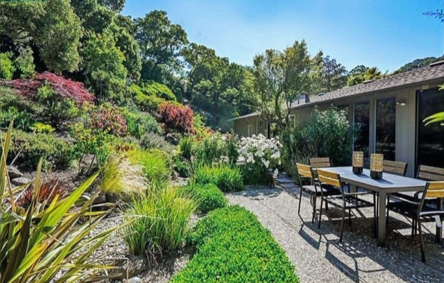 Lush garden with vibrant plants and trees surrounds a patio with a table and chairs. Bright, sunny day; tranquil and inviting atmosphere.