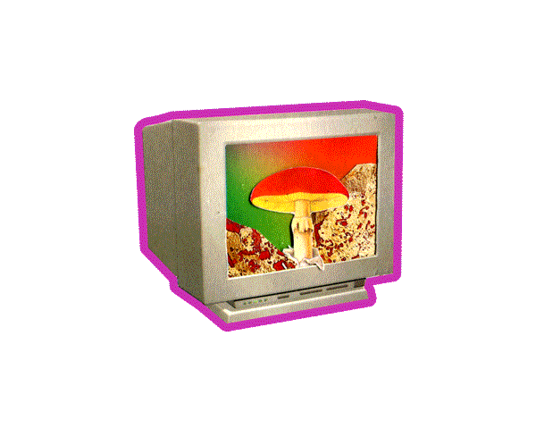 Magic Myceium