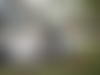 Contractor stamping decorative concrete patio