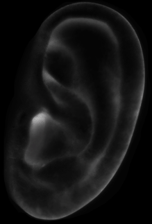 Ilija Nikolic Footwear Designer