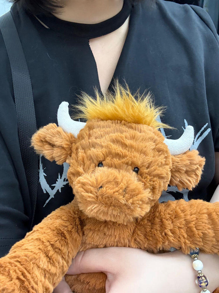 Thumbnail: Highland Cuddle Cow