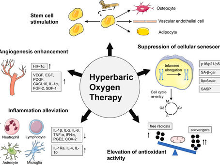 The Power of Consistency: Why Daily Hyperbaric Oxygen Therapy Outperforms Occasional Sessions
