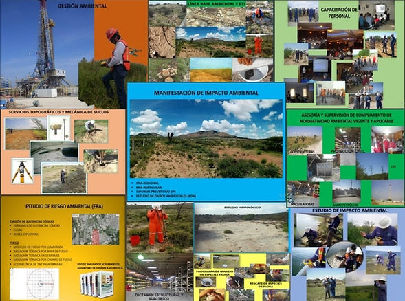 WhatsApp Image 2024-06-11 at 7.17.44 AM (1).jpeg