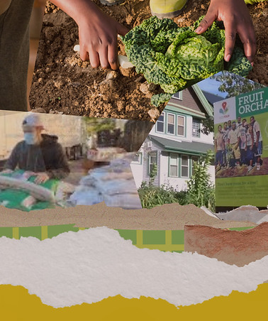 Milwaukee Food Ecosystem