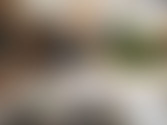 North Gaia EC 新公寓