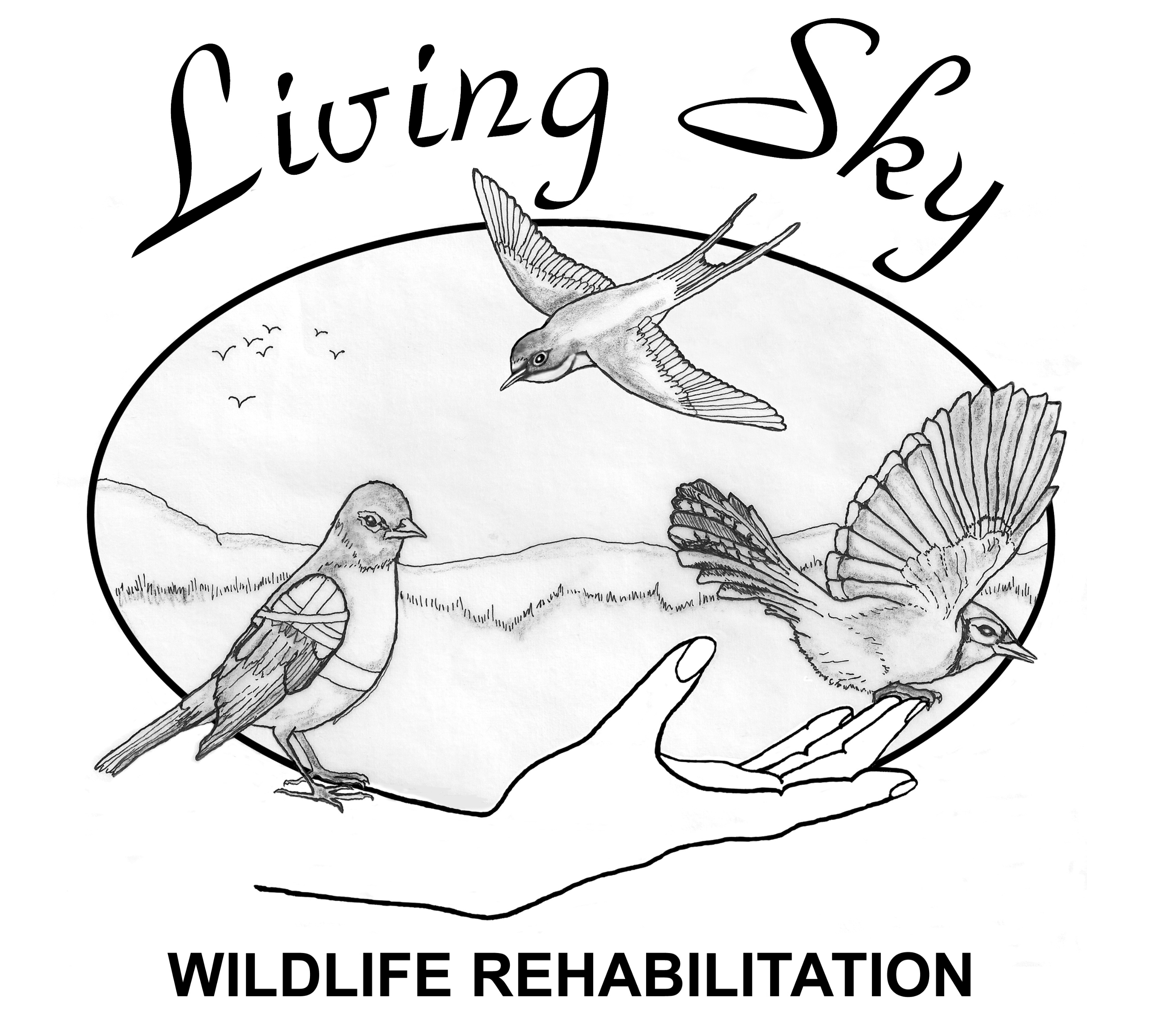 Photo du rédacteur: Living Sky Wildlife Rehabilitation