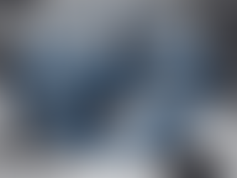 Coordonnateur·trice du mentorat à distance – Projet de placement Leaders émergents (Canada)