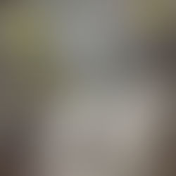 The Barry Kiener Trio – Introducing The Barry Kiener Trio