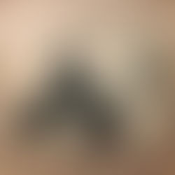 Ted Dunbar – Opening Remarks