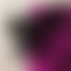 Jackie McLean ‎– Presenting... Jackie McLean