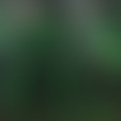 Ellis Larkin – Perfume And Rain: Solo Piano