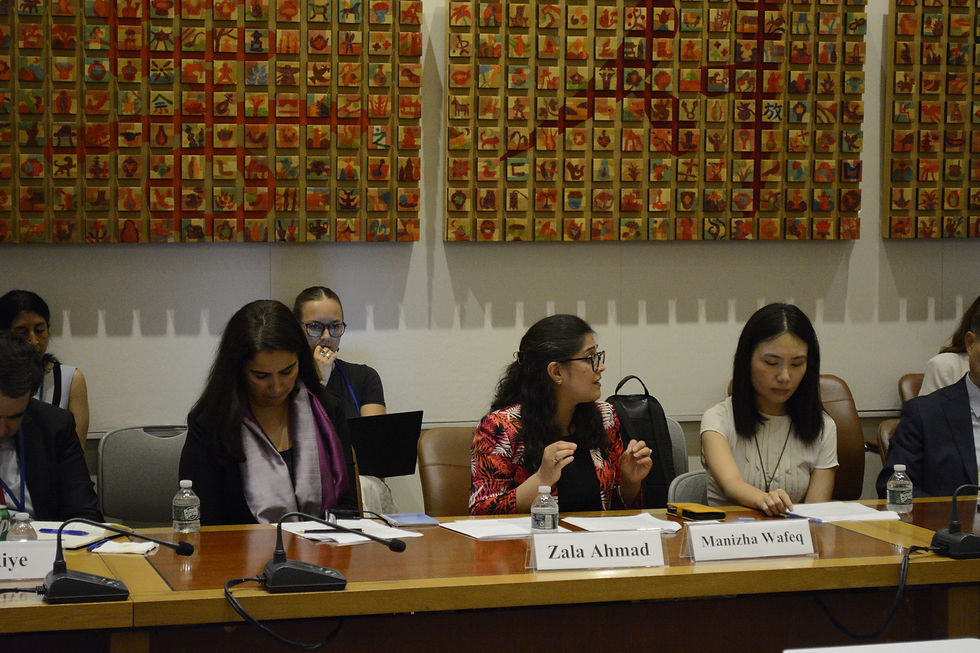 Manizha Wafeq presenting her statement of recommendations to the UN State Members working on the Doha Process and Private Sector Working Group.