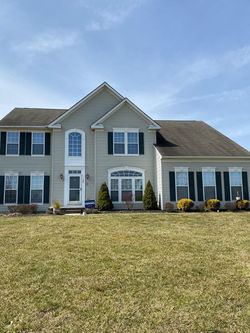 image11