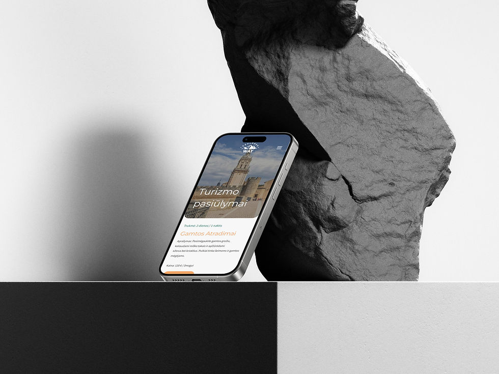 Svetainių kūrimas_Wix Studio_Wix studio svetainės_SiteArt_Wordpress svetainės_Web dizainas