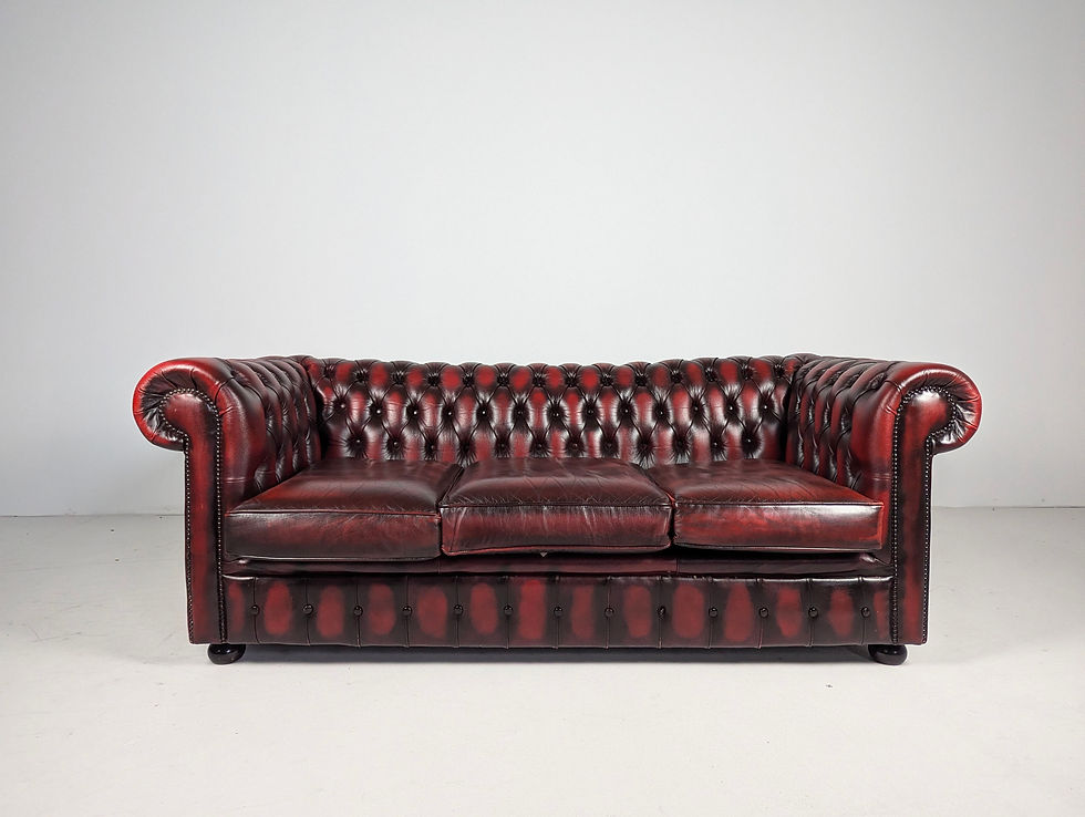 Chesterfield stiliaus odinė sofa