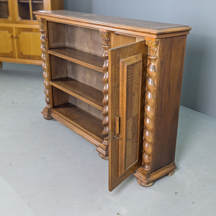 Medinė knygų spinta/lentyna