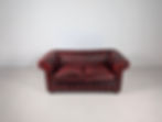 Chesterfield stiliaus odinė dvivietė sofa