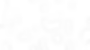 Asset 1.png