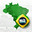 Bolsa brasil IE.png