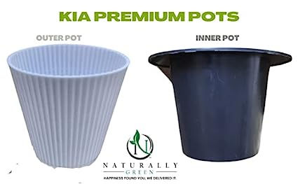थंबनेल: Kia self Watering Pot