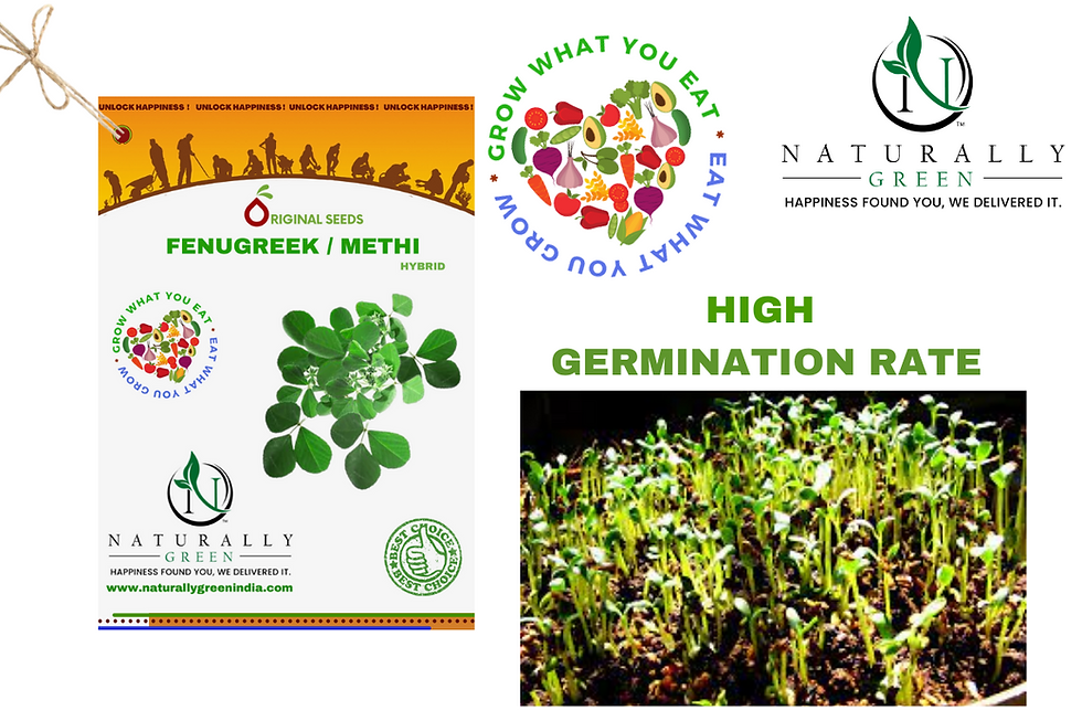 Thumbnail: Ng Methi 100 Seeds