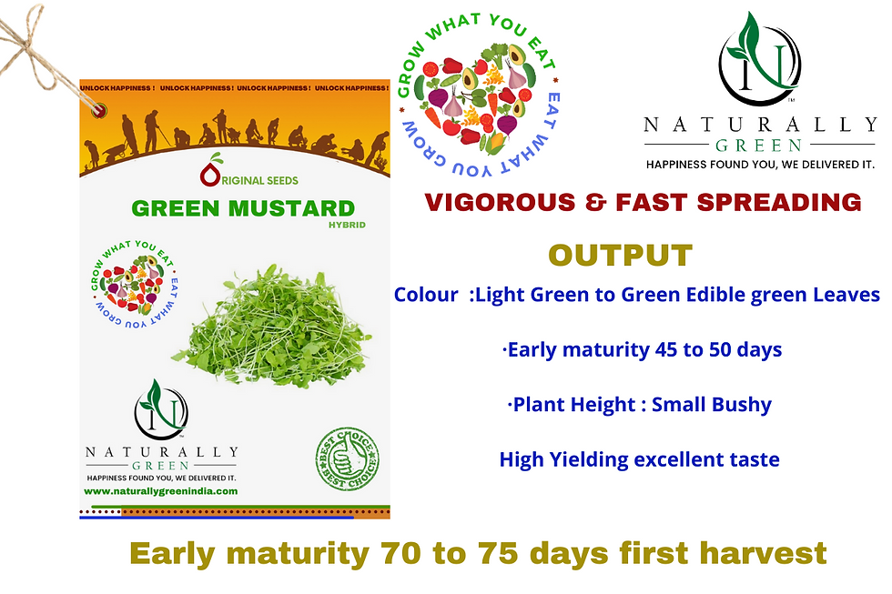 Thumbnail: Ng Green Mustard 100 Seeds
