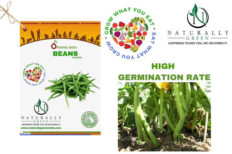 थंबनेल: Ng Beans 50 Seeds