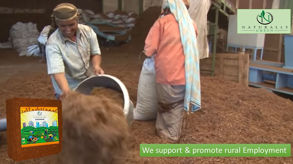 Thumbnail: Cocopeat Block