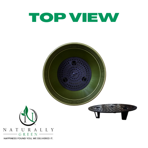 Thumbnail: Self watering hanging multicolor