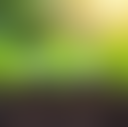 About Us - Naturally Green & eNGe