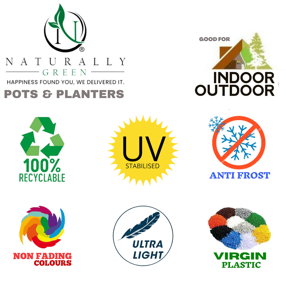 Thumbnail: RATO POT 12''