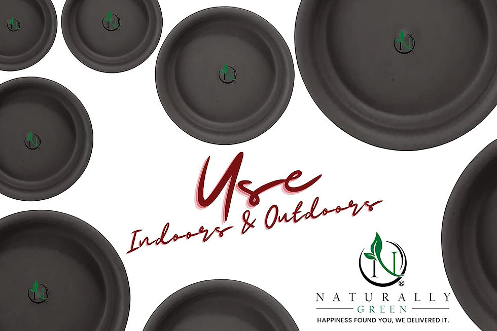Thumbnail: Round bottom tray Black 10''