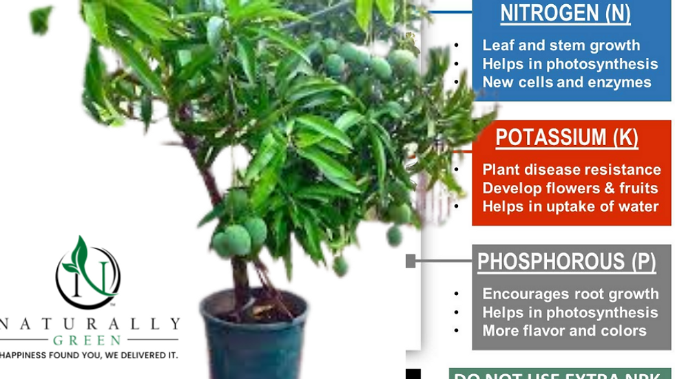Organic NPK