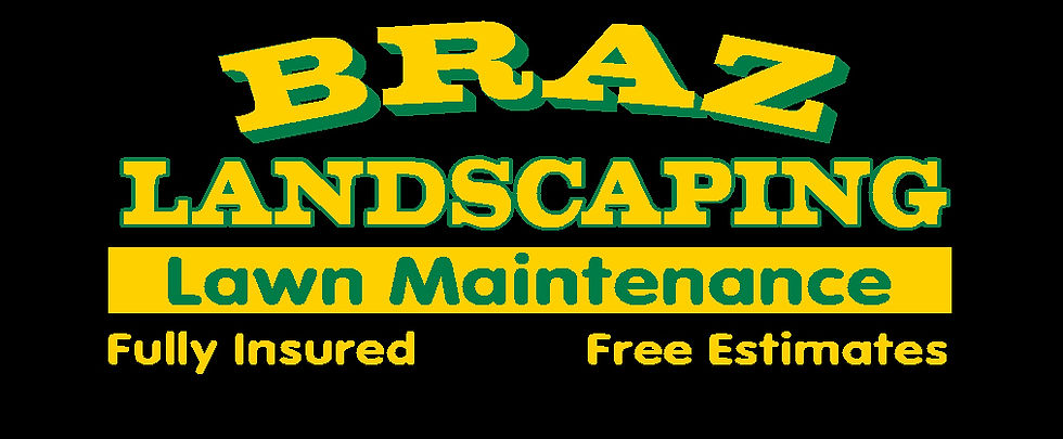 2012 6-29 Braz Landscaping LOGO black background (orig size).jpg