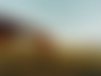 Embracing the Paradox: A Journey of Healing and Presence