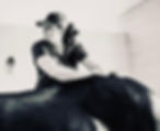Angie chiropractic