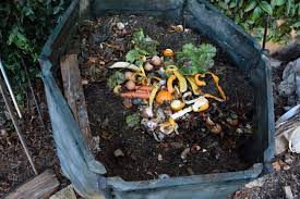 Composting.jpeg