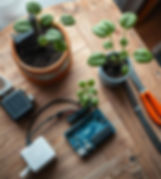 Automated Plant Watering System