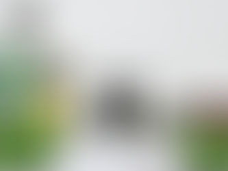 Rainwater Harvesting Model: A Fun & Educational Science Project!