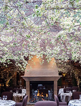 flower restaurant 