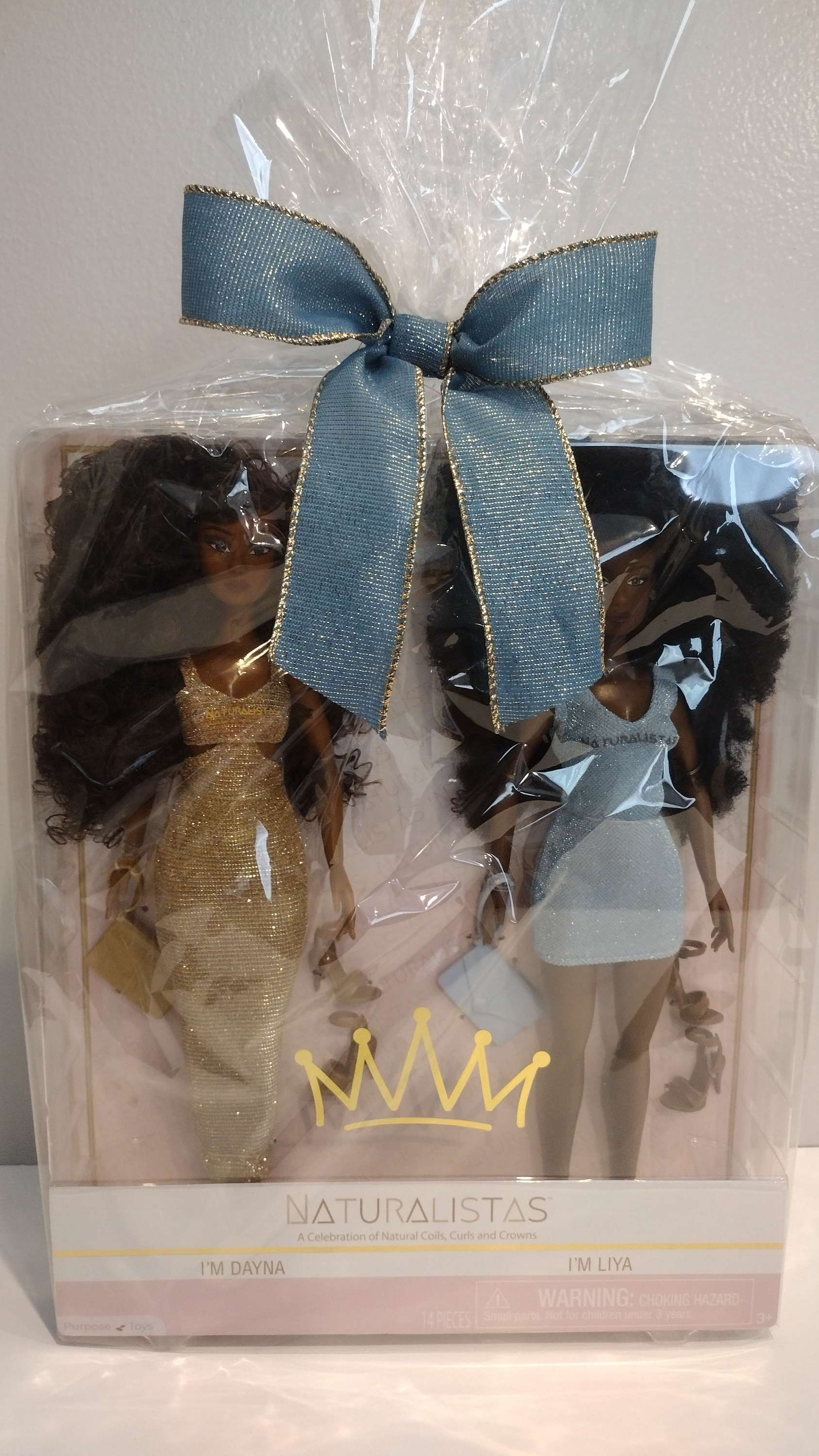 DAYNA & LIYA Dolls Gift Set