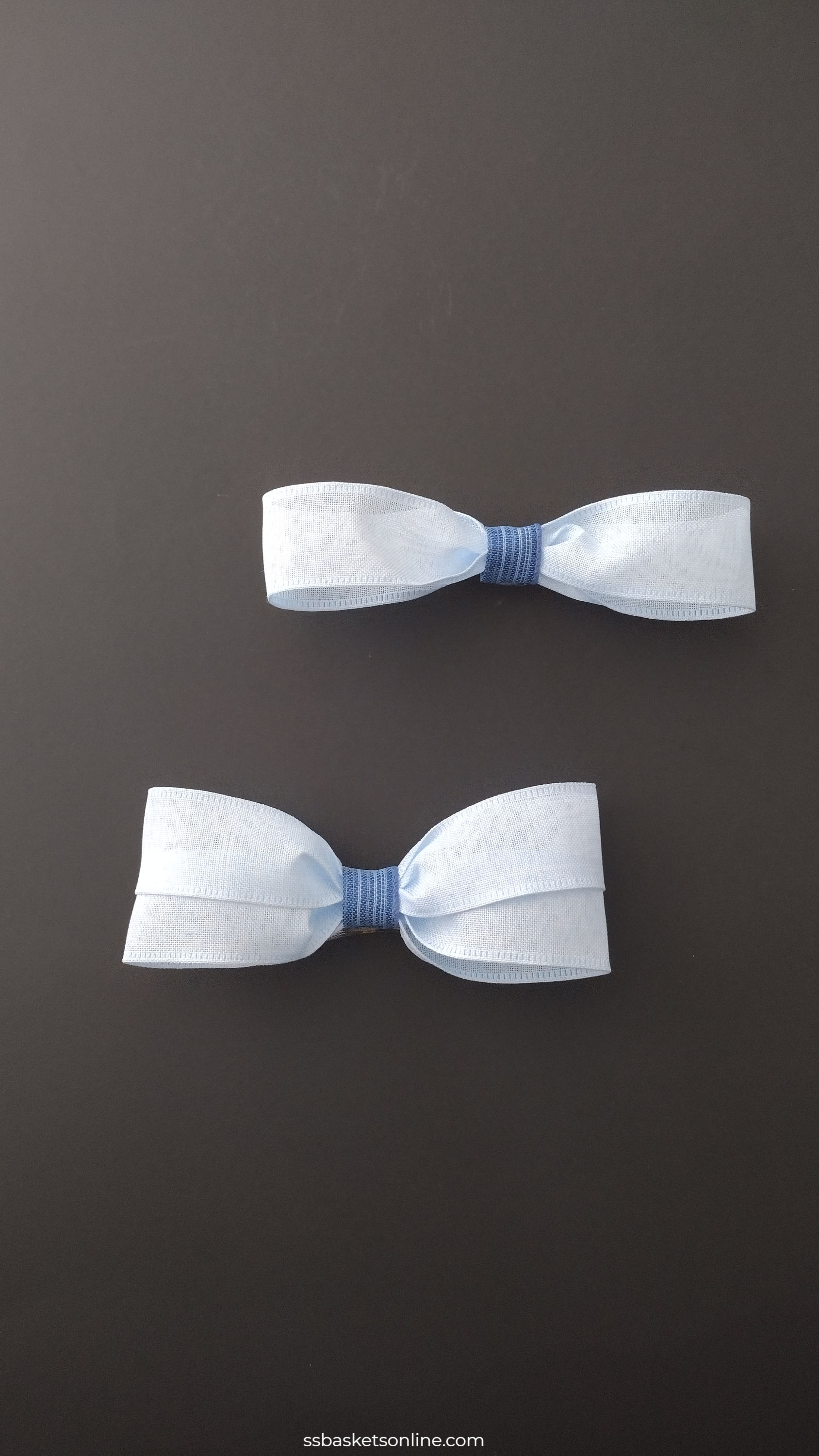 Stylish Classic White/Blue Wired Ribbon Hair Bows