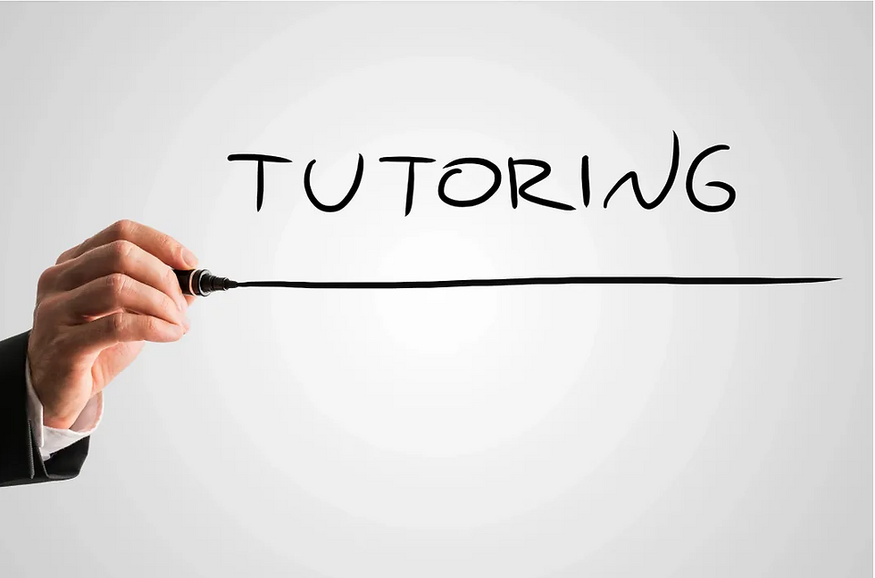 Tutoring/Video Call - 30 minutes max