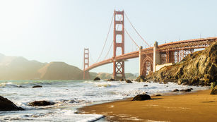 Landscapes & Wildlife