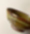 268834043_1284010512078364_1089502469109729679_n_edited.jpg