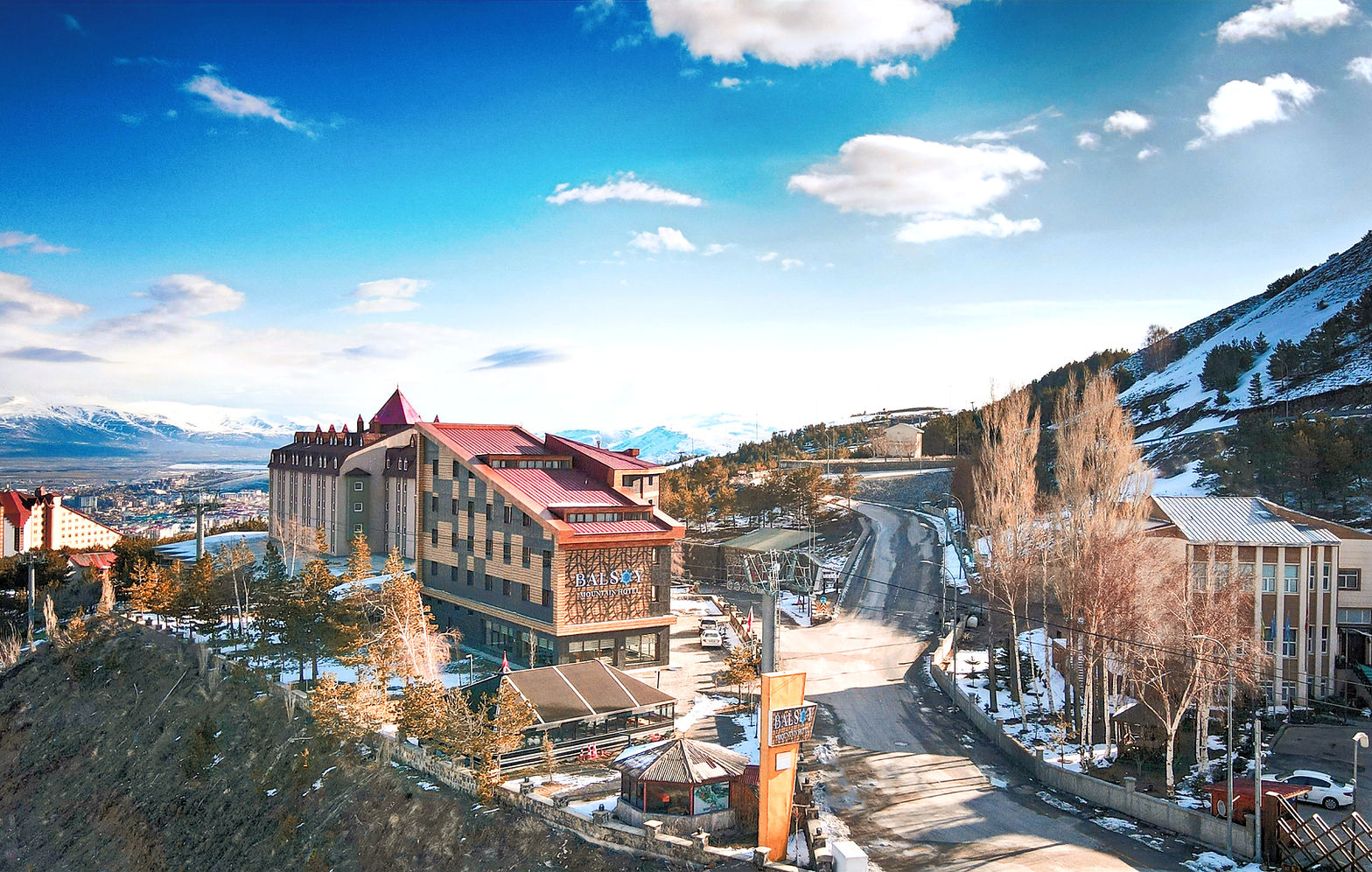 1 (1)_edited_edited.jpg